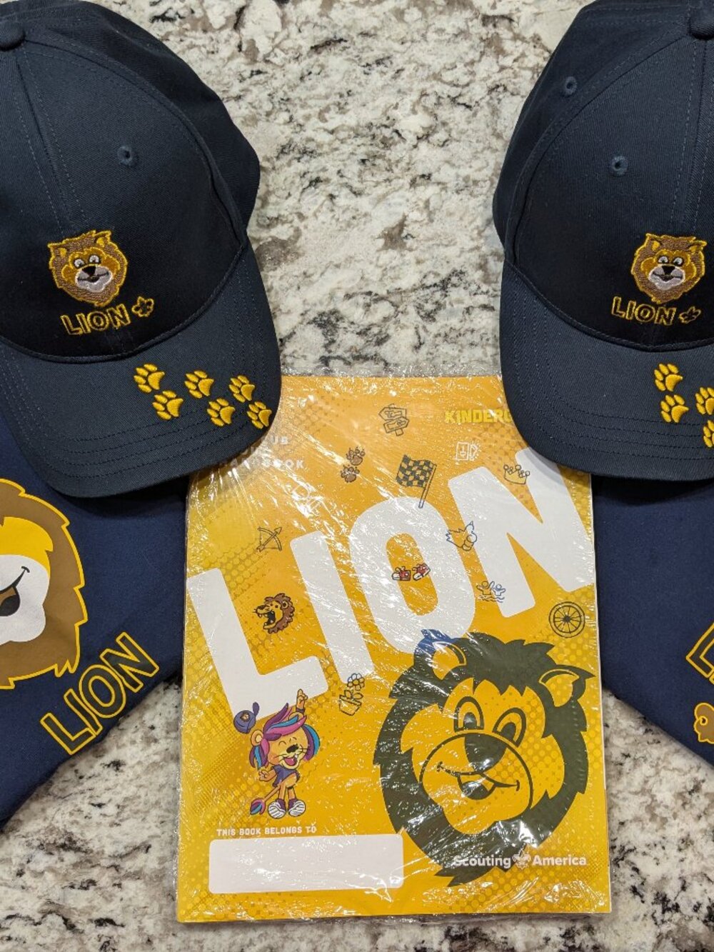 Scouting America Lion Bundle